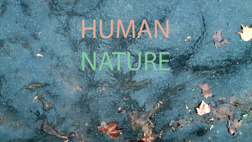 Human/Nature